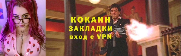 сатива Заводоуковск