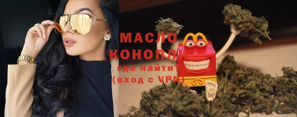 индика Елизово