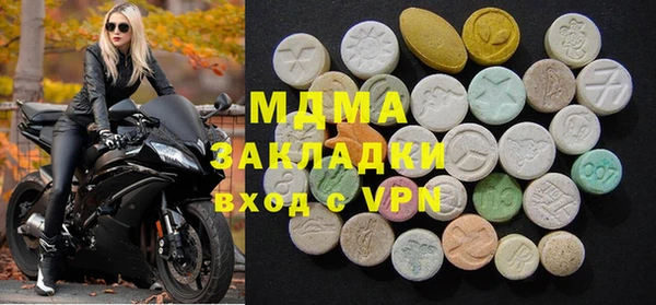 индика Елизово