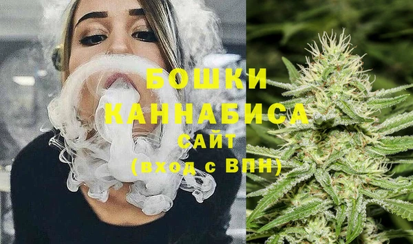 сатива Заводоуковск