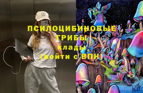 гашик Заволжье