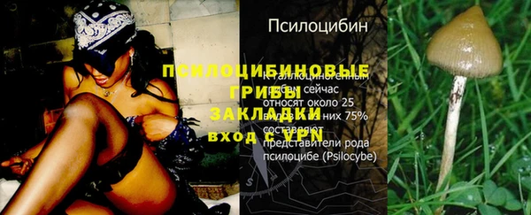 сатива Заводоуковск
