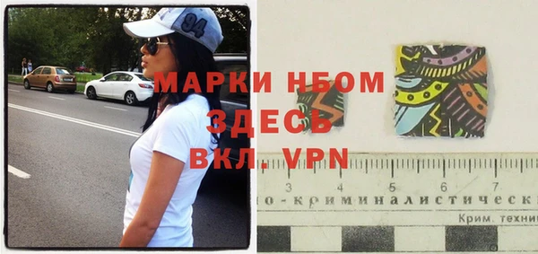 сатива Заводоуковск