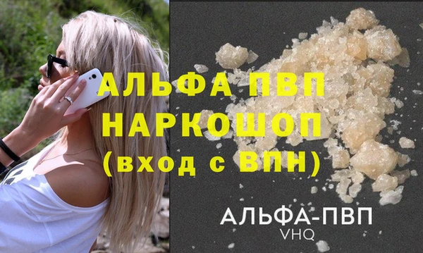 гашик Заволжье