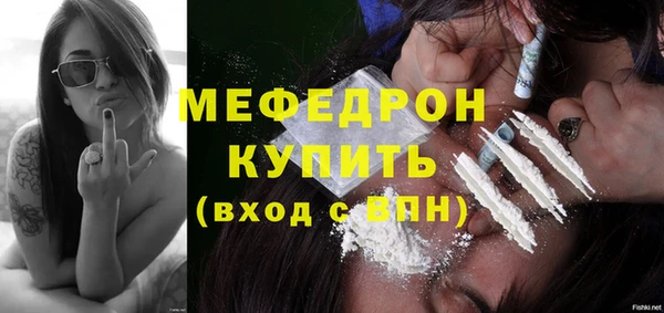 сатива Заводоуковск