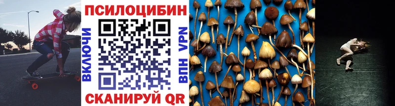 Галлюциногенные грибы Cubensis  Красный Сулин 