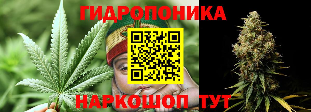 Конопля марихуана  Вход с VPN  Красный Сулин  Каннабис индика 
